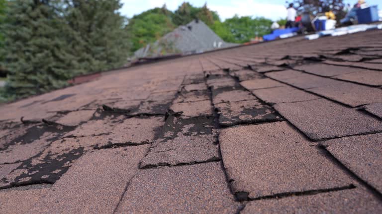 Best Cold Roofs  in Shelton, WA